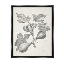 Stupell Industries Vintage Fig Plant Study Drawing Botanical & Floral Painting Black Floater Framed Art Print Wall Art