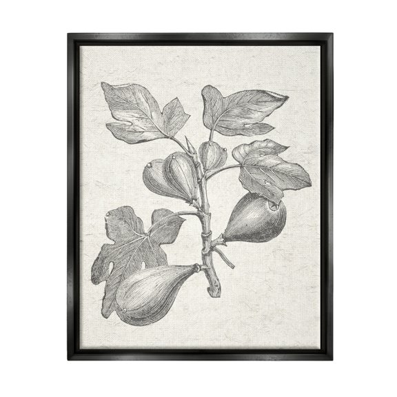 Stupell Industries Vintage Fig Plant Study Drawing Botanical & Floral Painting Black Floater Framed Art Print Wall Art