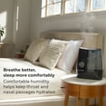 thumbnail image 4 of Humidificateur d'Humidité à Brume Chaude, Réservoir de 1 Gallon, 4 of 9