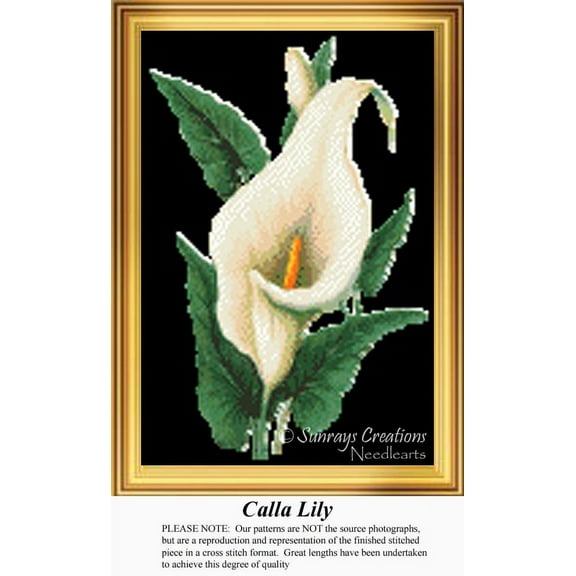 Calla Lily Cross Stitch Pattern | Calla Lily (Pattern Only, You Provide the Floss and Fabric)
