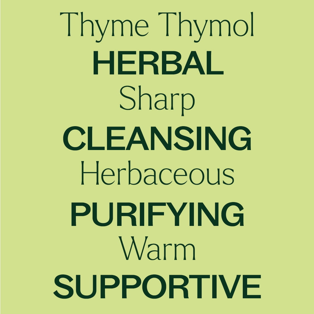 Plant Therapy Thyme Thymol Essential Oil 100% Pure, Undiluted, Natural Aromatherapy, Natural Aromatherapy 10 mL (1/3 oz)