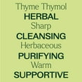 thumbnail image 7 of Plant Therapy Thyme Thymol Essential Oil 100% Pure, Undiluted, Natural Aromatherapy 30 mL (1 oz), 7 of 7
