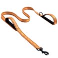 thumbnail image 1 of Pet Leash Outdoor Pet Walking Training Double Sided reflective walking rope Reflective Rope Strap Belt with Metal Buckle Clip, Yellow, 1 of 5
