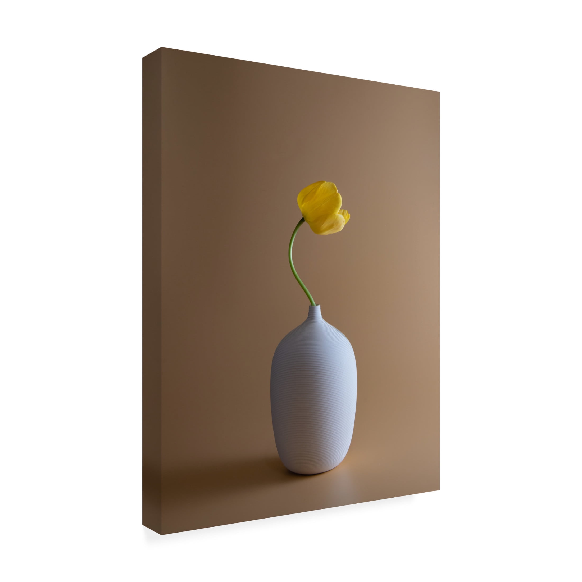 Trademark Fine Art Qing Li Tulip Canvas Wall Art