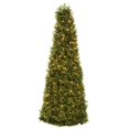 thumbnail image 1 of 39??Boxwood Cone w/Lights, 1 of 1