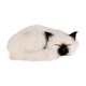 thumbnail image 1 of Lindo juguete de peluche de gato, cómodo y suave, decoración del hogar realista. Blanco, 1 of 9