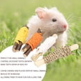thumbnail image 3 of Pequeños Animales Mastice Juguete, Crecimientes de Dientes en animales Pequeños Madera Molar Madera Fragante Envolta de Cuerda para Juego Diario para Hámster, 3 of 7