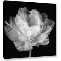 ArtWall Cora Niele "Tulipa Double Black and White I" Gallery-Wrapped Canvas