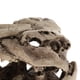 thumbnail image 3 of Cueva de Forma en apariencia de Arañas Acuarios Decoración Único Atractivo Yinane Adorno de dinosaurio de acuario, 3 of 8
