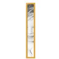 thumbnail image 2 of ArtToFrames 6" x 46" Yellow Picture Frame, 6x46 inch Yellow MDF Poster Frame (WOM-5340),  Pack, 2 of 8