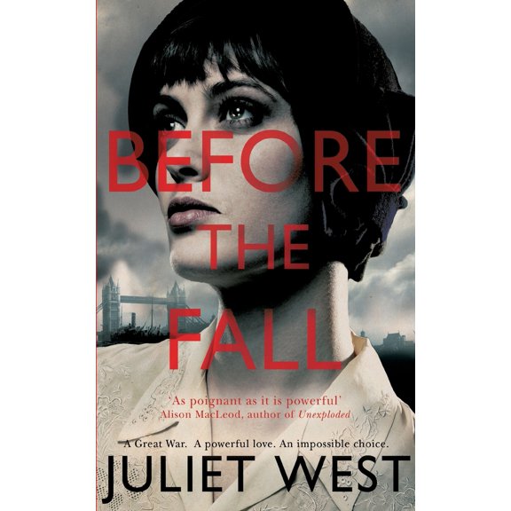 Pre-Owned Before the Fall (Paperback) 1447259076 9781447259077