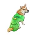 thumbnail image 1 of ComfyCamper Disfraz de perro monstruo verde - X Grande Mediano Pequeño Pastor francés de laboratorio Retriever Cosplay Disfraces de Halloween Grande, 1 of 1