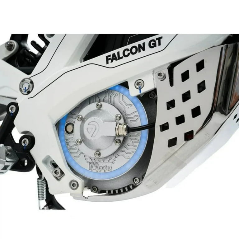 79BIKE Falcon GT Electric Motorcycle Bike for Adults,16800W(Peak