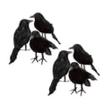 thumbnail image 1 of Set de 6 Piezas Negro Pequeños Cuervos Pájaros Diseño Realista de Espuma Ravens Props Decoraciones de Fiesta Sunnimix Cuervos de Halloween, 1 of 8