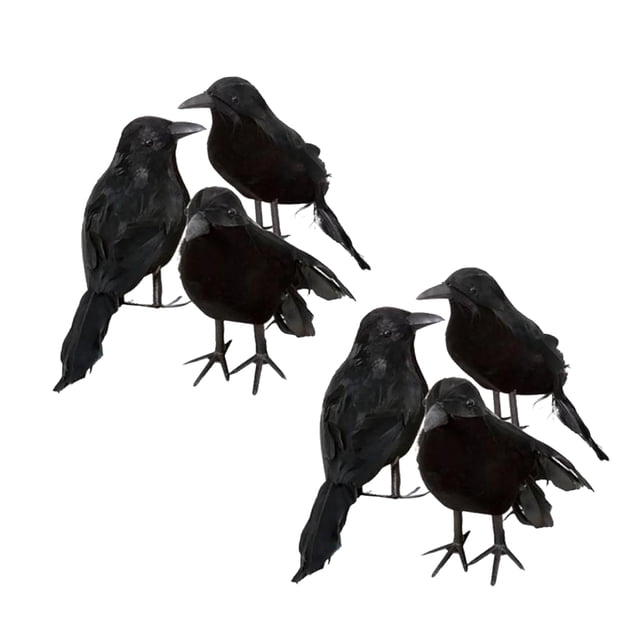 Set de 6 Piezas Negro Pequeños Cuervos Pájaros Diseño Realista de Espuma Ravens Props Decoraciones de Fiesta Sunnimix Cuervos de Halloween