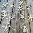 thumbnail image 6 of Beach Garland Seashell & 12 Pc Real Starfish Garland 10ft+ (120"), Nautical Decor, Beach Theme Party Decorations, 6 of 10