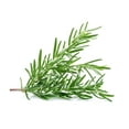 thumbnail image 2 of MOOI Huile Essentielle de Romarin 10 ml, 2 of 2