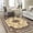 Beige, variant on HuiMart 5'x7' Area Rugs for Living Room, Non Slip Machine Washable Vintage Indoor Rug
