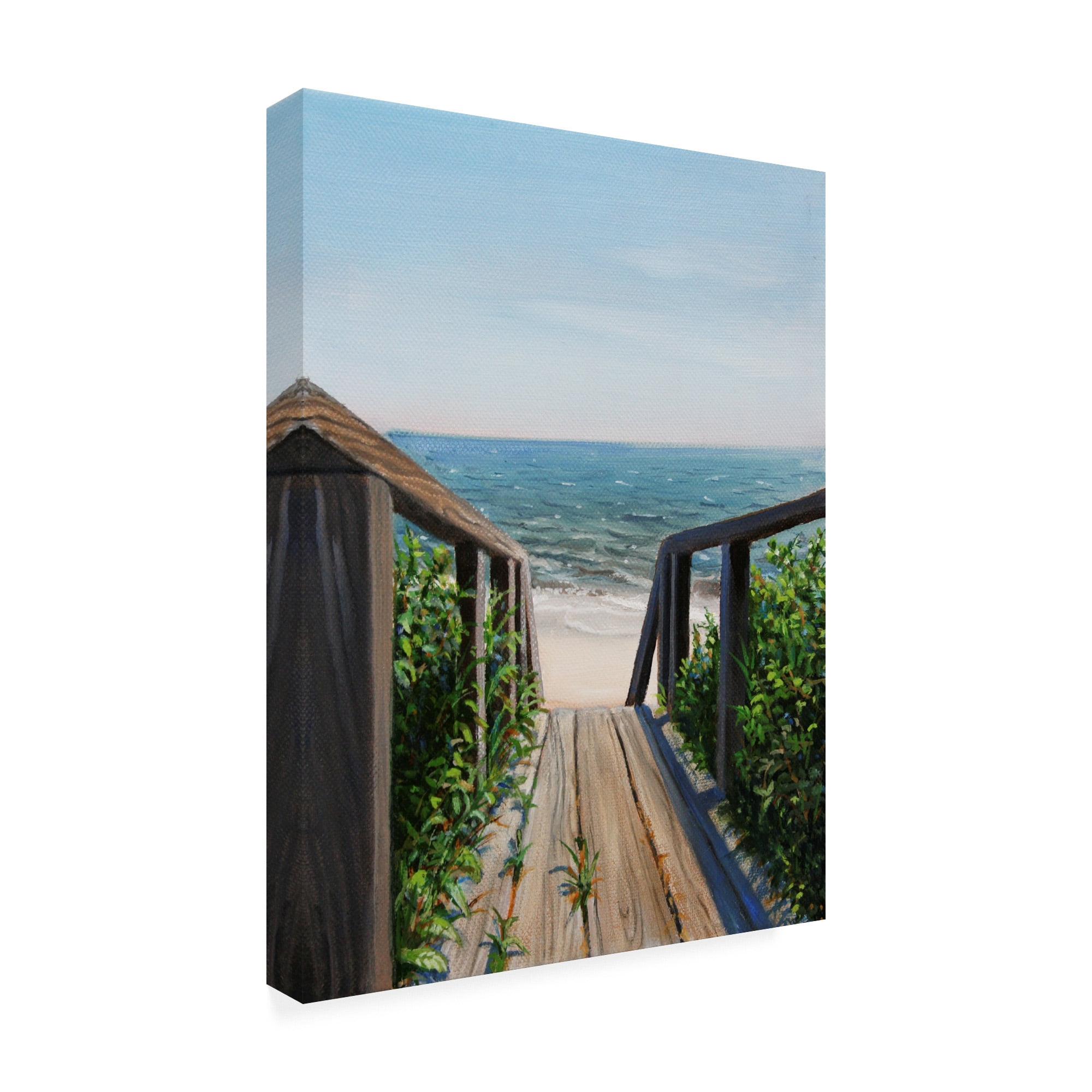 Trademark Fine Art 'Beach Walk Way' Canvas Art by Paul Walsh