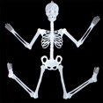 thumbnail image 5 of One opening Halloween Luminescent Skeleton Decors Full Body Faux Human Skeleton, 5 of 8