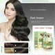 thumbnail image 1 of NEW Natural Plant Hair Dye Bubble New Botanical Based For Grey Hair Color Bubble Dye, 1 of 5