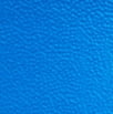 Bright Cobalt