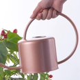 thumbnail image 2 of Regadera de acero inoxidable, regadera de boca larga, plantas de flores, ideal para herramientas de riego, jardín, 2 of 5