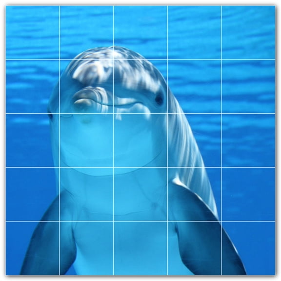 Picture-Tiles.com: Dolphin Ceramic Tile Wall Mural WAL500525-55S. 21.25"W x 21.25"H using (25) 4.25" x 4.25" Ceramic Tiles-Satin Finish
