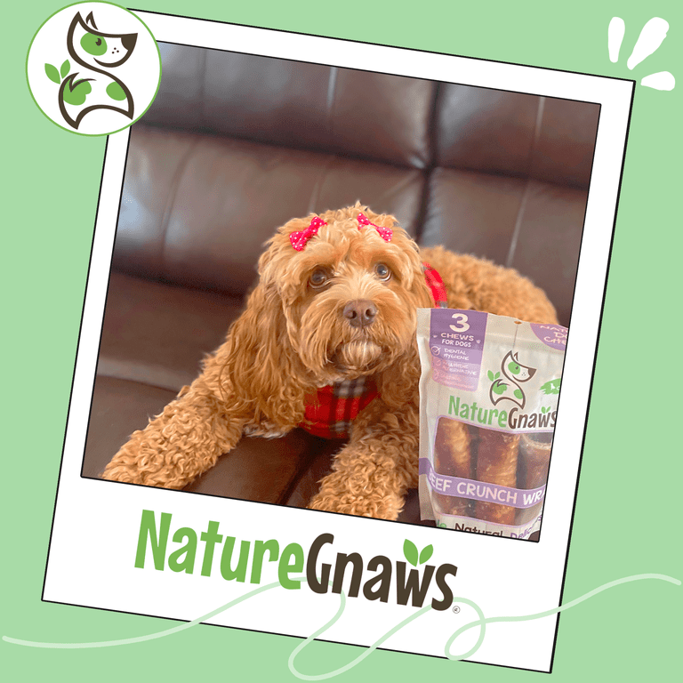Nature Gnaws Beef Crunch Wraps Natural Dog Chew Treats - 3 Count