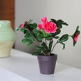 thumbnail image 2 of Northlight 7.5” Pink Potted Artificial Spring Rose Plant, 2 of 2