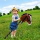 thumbnail image 1 of Juguete De Caballo De Palo De Peluche, Caballo De Palo De Peluche Relinchando Sonidos De Galope Ojos Realistas Juego De Montar A Caballo Para Niños, 1 of 7