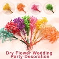 thumbnail image 3 of TQEHS Flores secas de algodón mini y frescas de Babysbreath natural K5 G9X6, 3 of 6