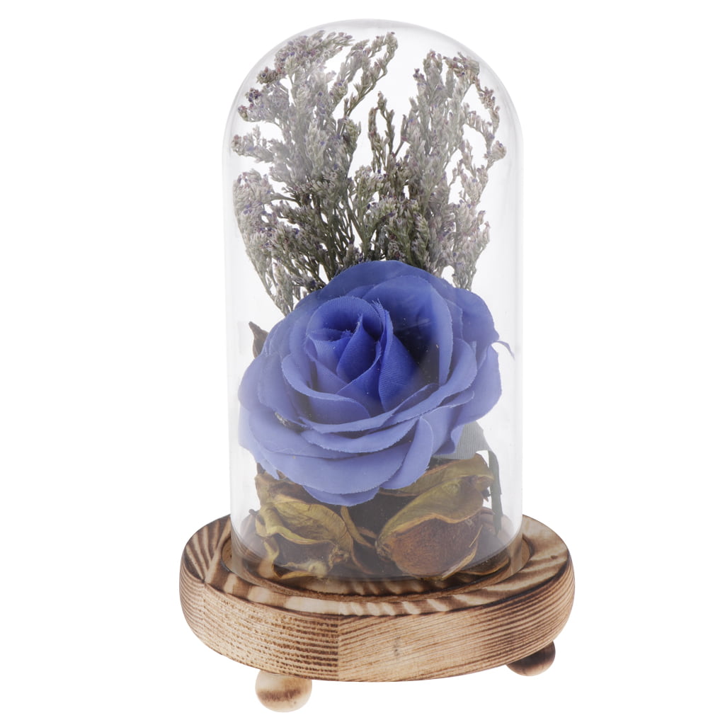 Decorative Clear Glass Cloche Bell Jar Display Flower Vase Micro Landscape 