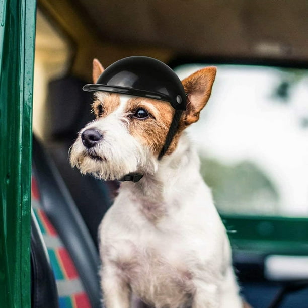 Pet Dog Helmet Doggie Hardhat for Puppy Chihuahua Blind Dogs