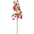 thumbnail image 1 of Eucalyptus Spray X3-Autumn Red Greenery Stem, 1 of 1
