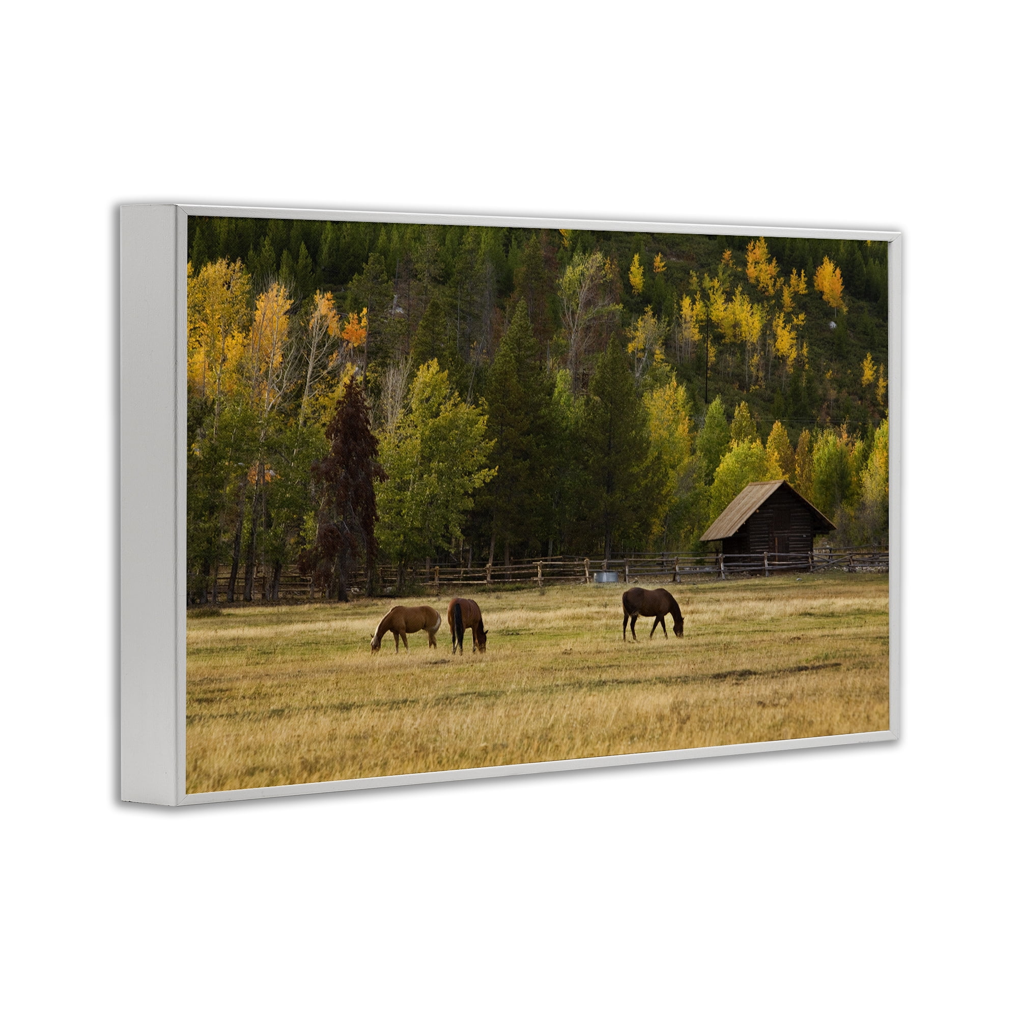 Stupell Industries Horses In Jackson Hole White Framed Giclee Art, design by Scott Stulberg