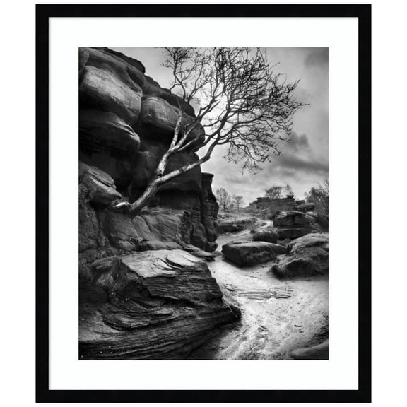 Amanti Art Outcrop Wood Framed Wall Art Print