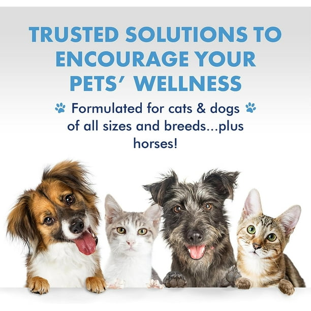 PetSilver Respiratory Solution with Chelated Silver for Cats and Dogs Gentle Allergen Free Formula Use with Nebulizer or Syringe Fragrance and Flavor Free 16 oz. Walmart Business Supplies