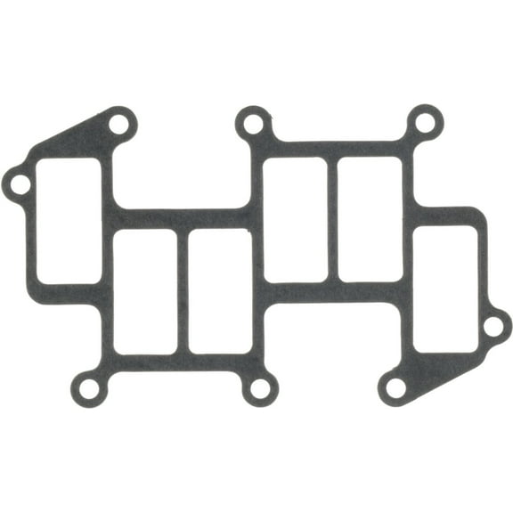 Fuel Injection Plenum Gasket
