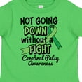 thumbnail image 4 of Inktastic Not Going Down Without a Fight Cerebral Palsy Awareness Boys or Girls Toddler T-Shirt, 4 of 5