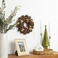 thumbnail image 2 of Northlight 12.5" Unlit Natural Pine Cone and Fruit Glitter Artificial Christmas Wreath, 2 of 5