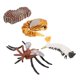 thumbnail image 5 of Juguete educativo CUTICAT Juego de crecimiento de insectos para niños, 5 of 8