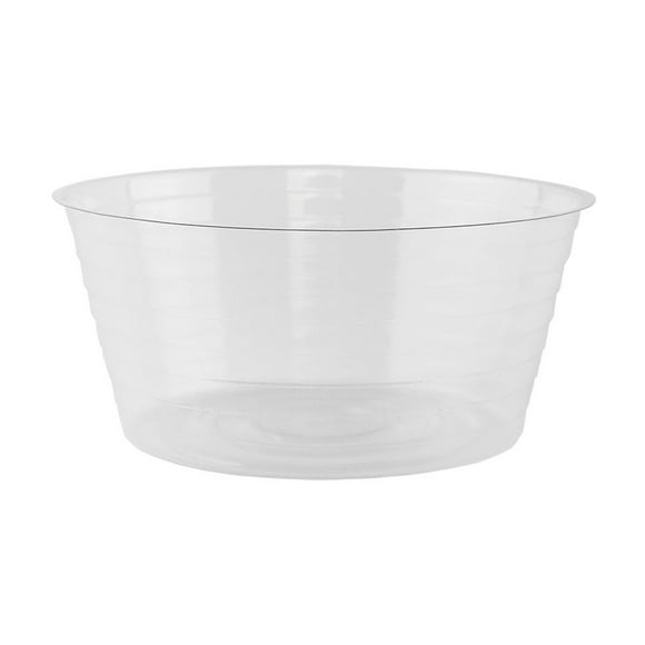 Syndicate Sales 6" Deep Liner, Clear, Bag of 25
