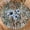 A Blue, variant on Spring Rustic Daisy Round Fitted Tablecloth with Elastic Edge Vintage Farmhouse Sunflowers Circle Table Cloth 44-48 Inch Shabby Chic Flower Barnwood Table Cover Washable for Kitchen Dining Decor