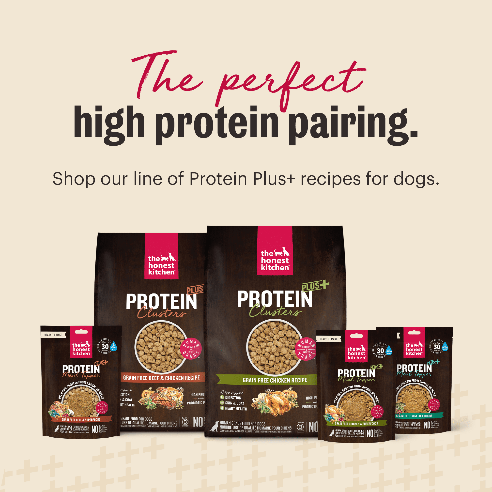 The Honest Kitchen Protein Plus Dehydrated Dog Food Topper, Human Grade High Protein Fish Meal Topper with Superfoods, Grain Free for Picky Eaters, Digestive Support, Just Add Water, 12 oz Pouch