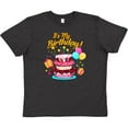 thumbnail image 3 of Inktastic It's My Birthday Youth T-Shirt, 3 of 5
