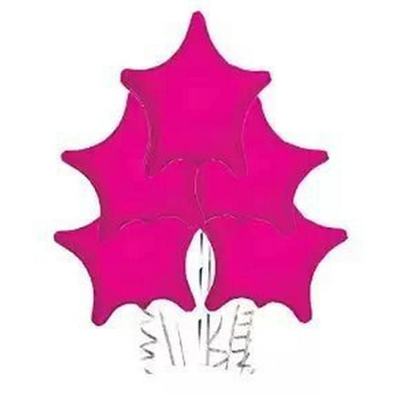 Silver Mylar Balloon - Star Balloon Hot Pink (22 Inch Mylar) Pkg/10