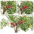 thumbnail image 3 of Plant Training Benders for Low Stress Training (LST), Adjustable Garden Clips for Stem Support and Optimized Light Exposure for Indoor Gardening C#120 Red, 3 of 5