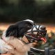 thumbnail image 2 of Bozal para perro, bozal de cesta transpirable para perros pequeños, medianos, grandes y extragrandes, deja de morder, ladrar y masticar, lo mejor para perros agresivos (grande, negro), 2 of 5