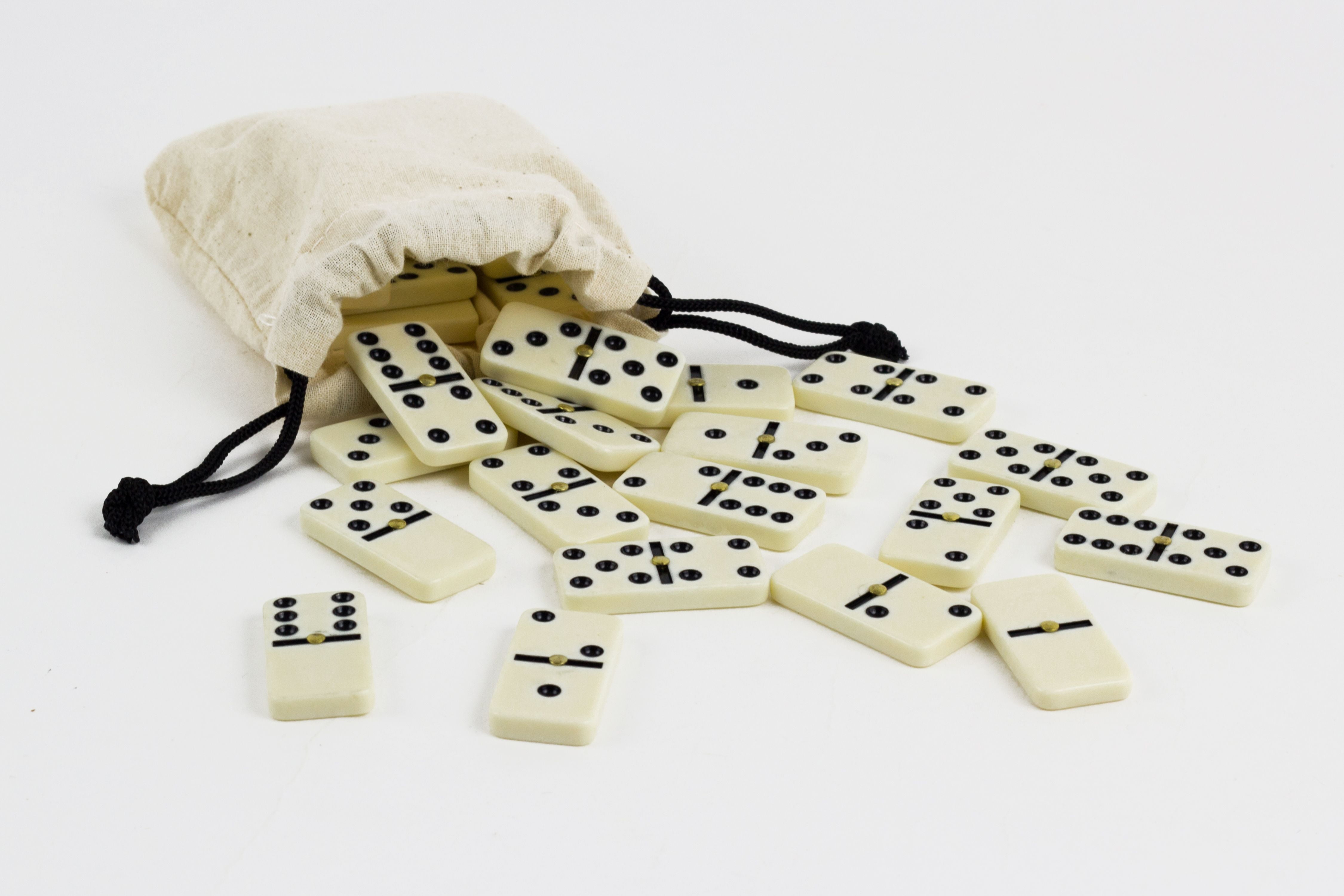 Professor Puzzle - Wooden Games Workshop Dominoes - Walmart.com